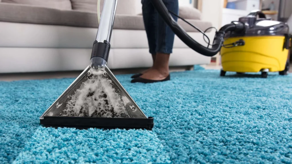 DIY vs. Professional Carpet Cleaning Finding the Best Solution for Your Home