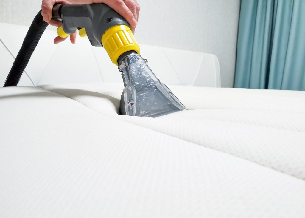carpet cleaning in medford