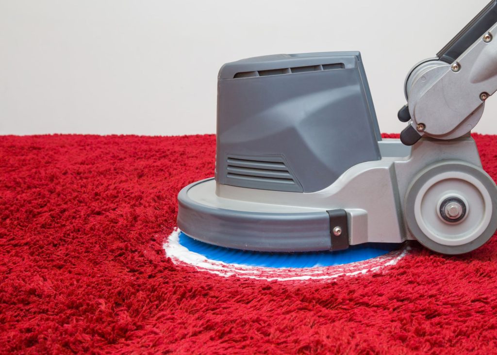 carpet cleaning in medford