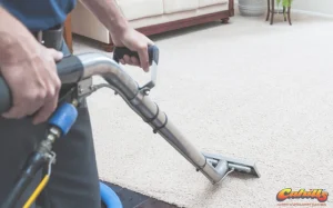 Maximizing the Lifespan of Your Carpets