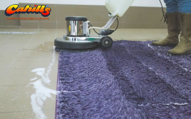 Holiday Carpet Cleaning