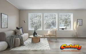 How to Protect Your Carpets This Winter Expert Tips from Cahill's