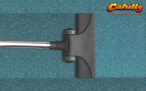 importance of professional carpet cleaning after a long winter