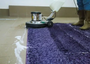 Professional Residential Carpet Cleaning