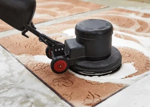 Rental Carpet Cleaners