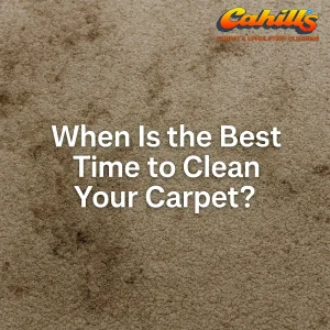 Best Time to Clean Your Carpet