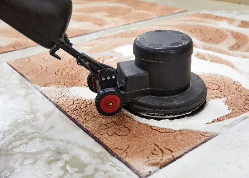 Signs It’s Time for a Carpet Cleaning