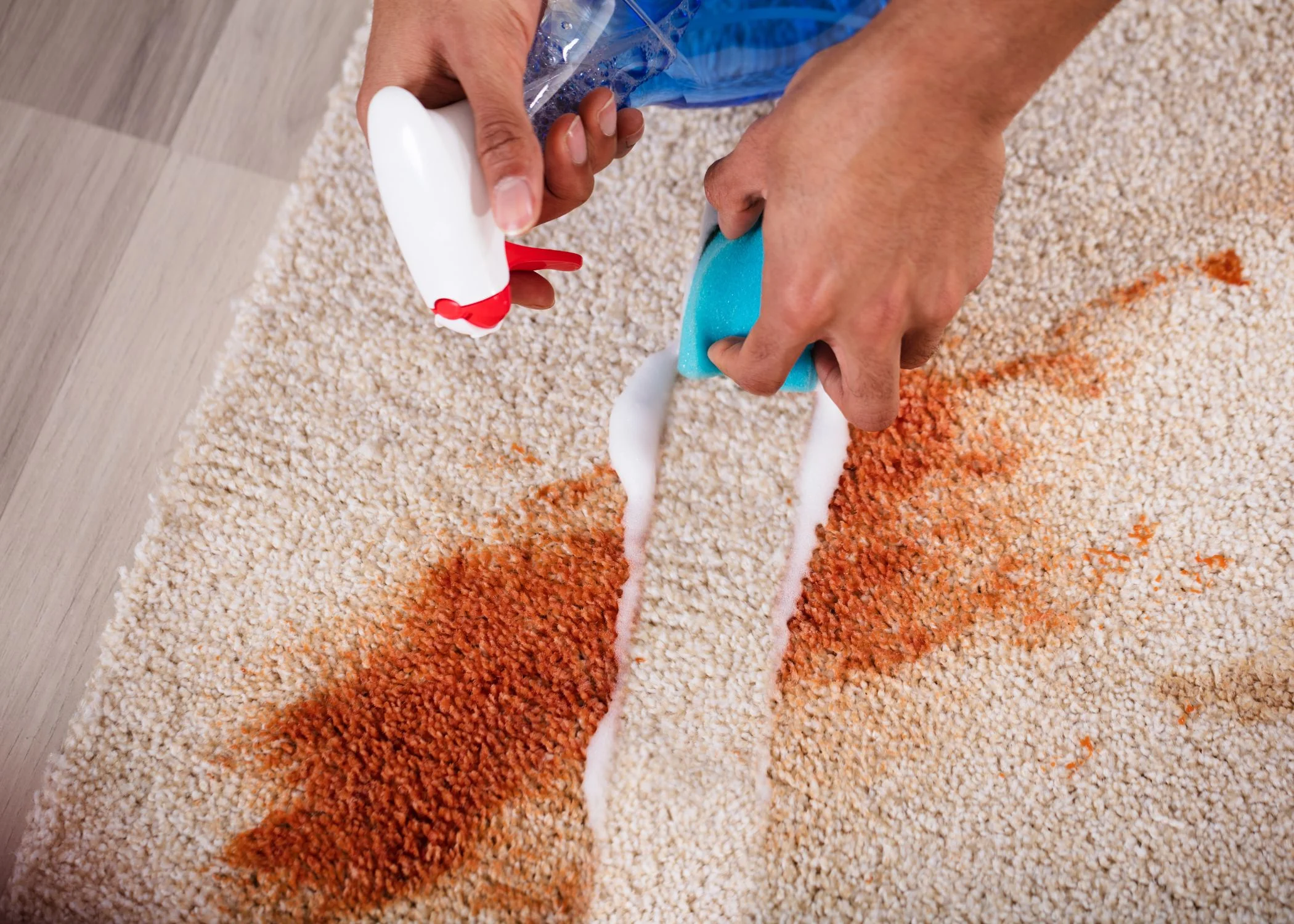Professional Stain Removal Services