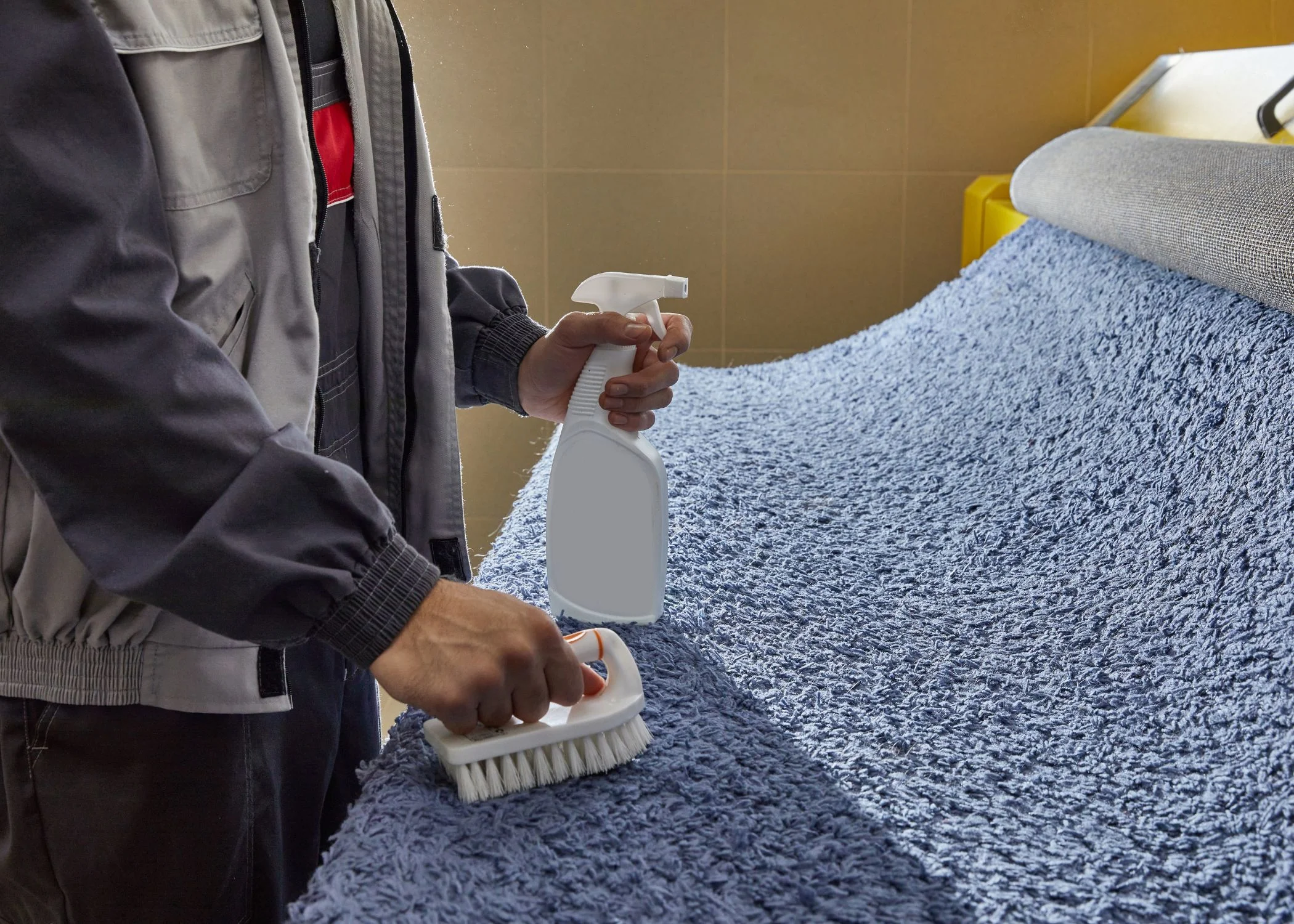 Professional Stain Removal Services