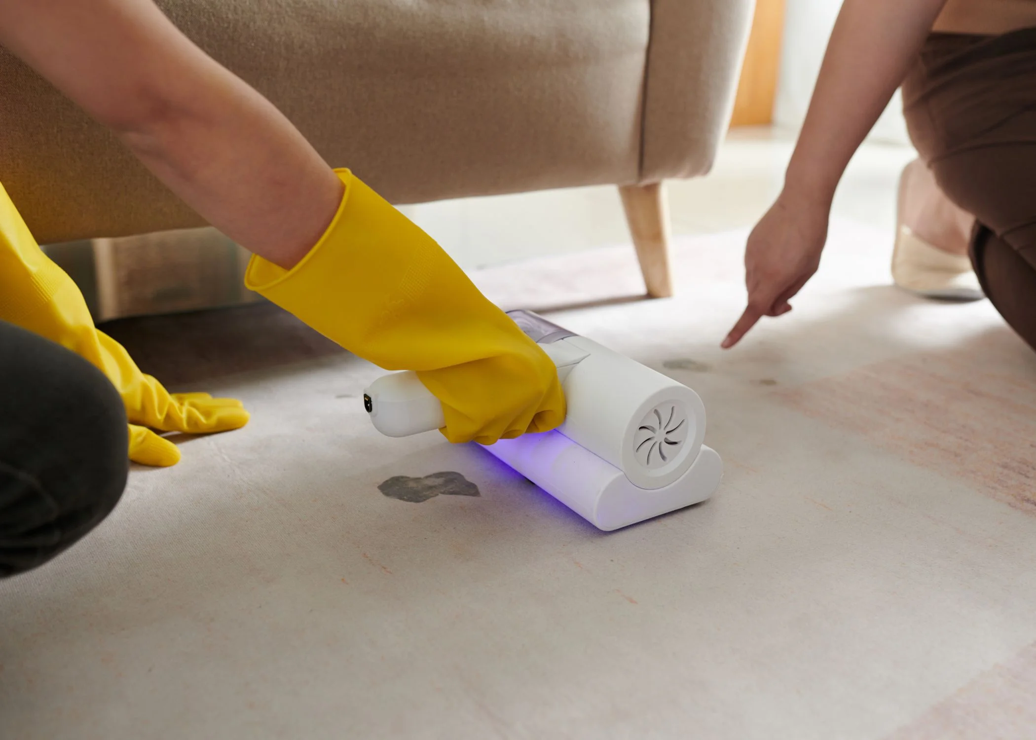 Professional Stain Removal Services