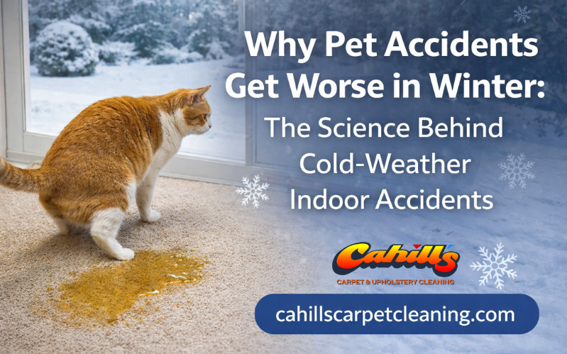 pet accidents get worse in winter