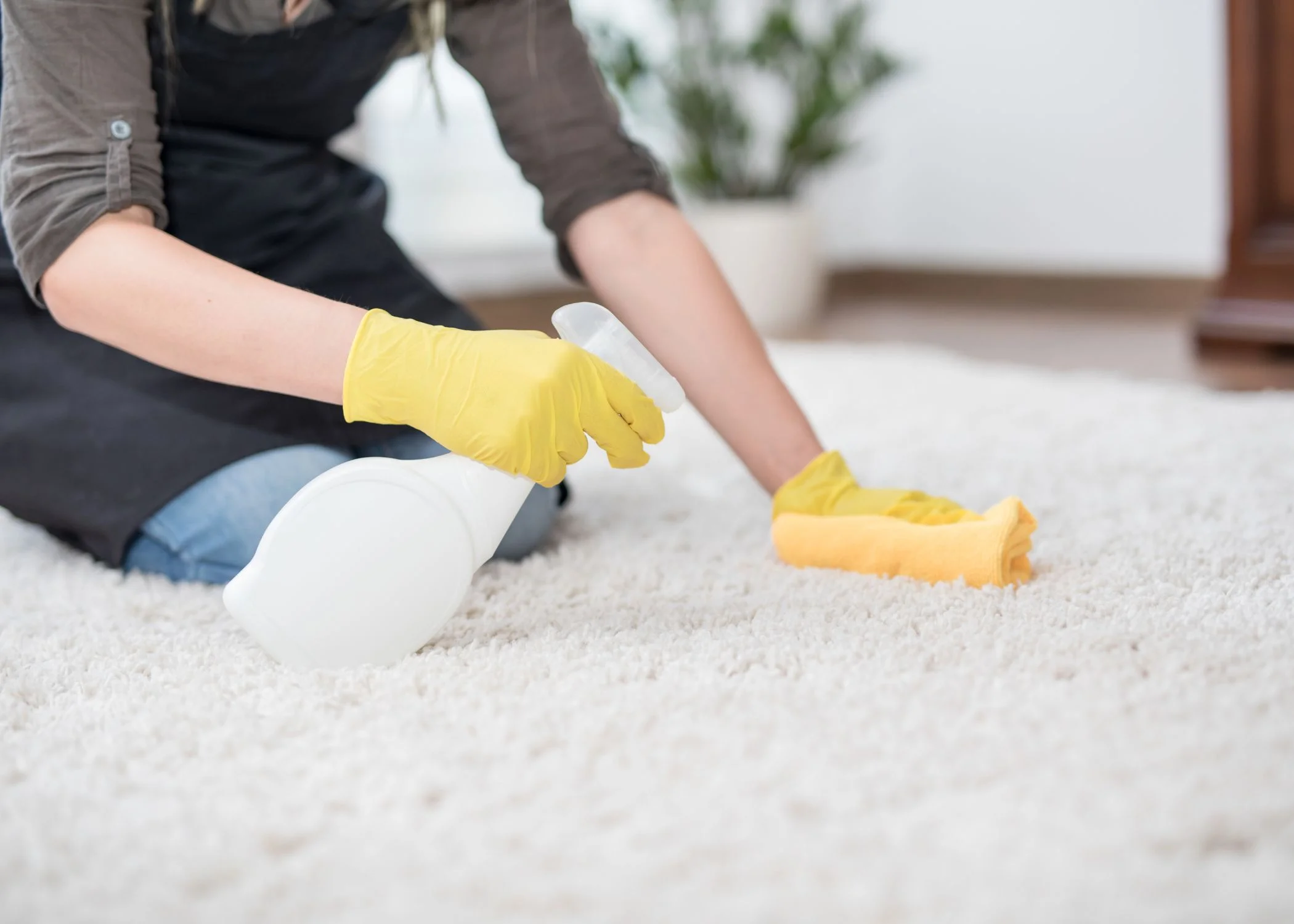 Professional Odor Elimination Services