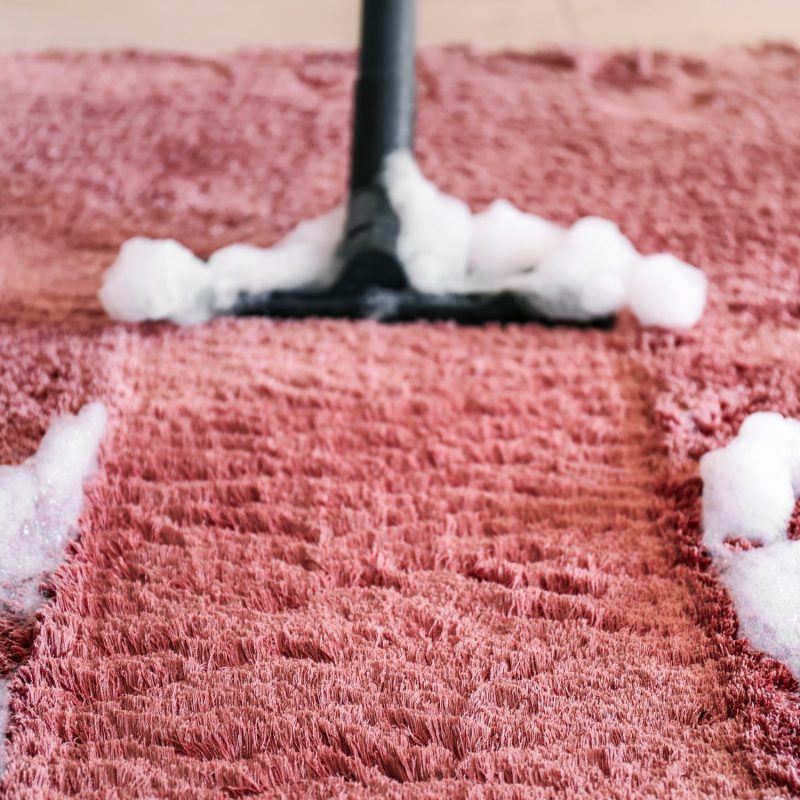 Carpet cleaning (4)